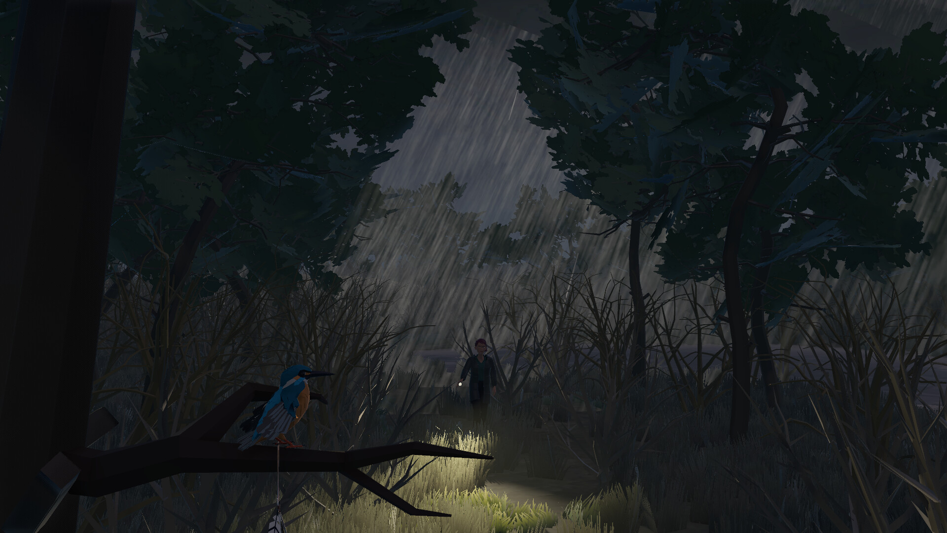 Kingfisher: An Autism Tale Screenshot 4