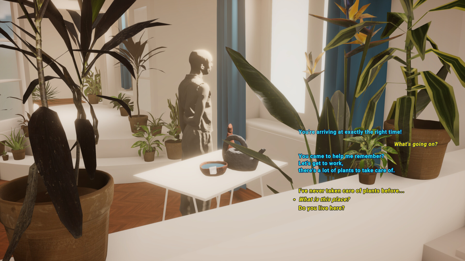 Plum Road Tea Dream Screenshot 1