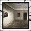 Art aficionado icon