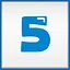 Level 5 icon