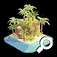 Sandy Shores icon