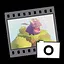 Photographer icon