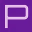 CLUB LEATHER P icon