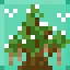 Mighty Oak icon