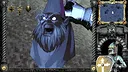 Gnomes and Knights Screenshot 7