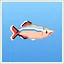 White Cloud icon