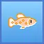 Creamsicle Molly icon