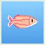 Redfin Rainbowfish icon