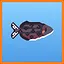 Wanam Rainbowfish icon