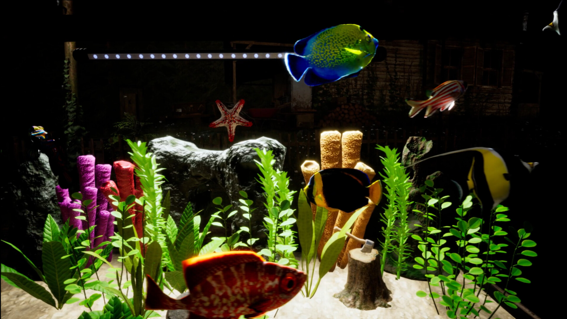 Fish Tank Simulator Screenshot 3