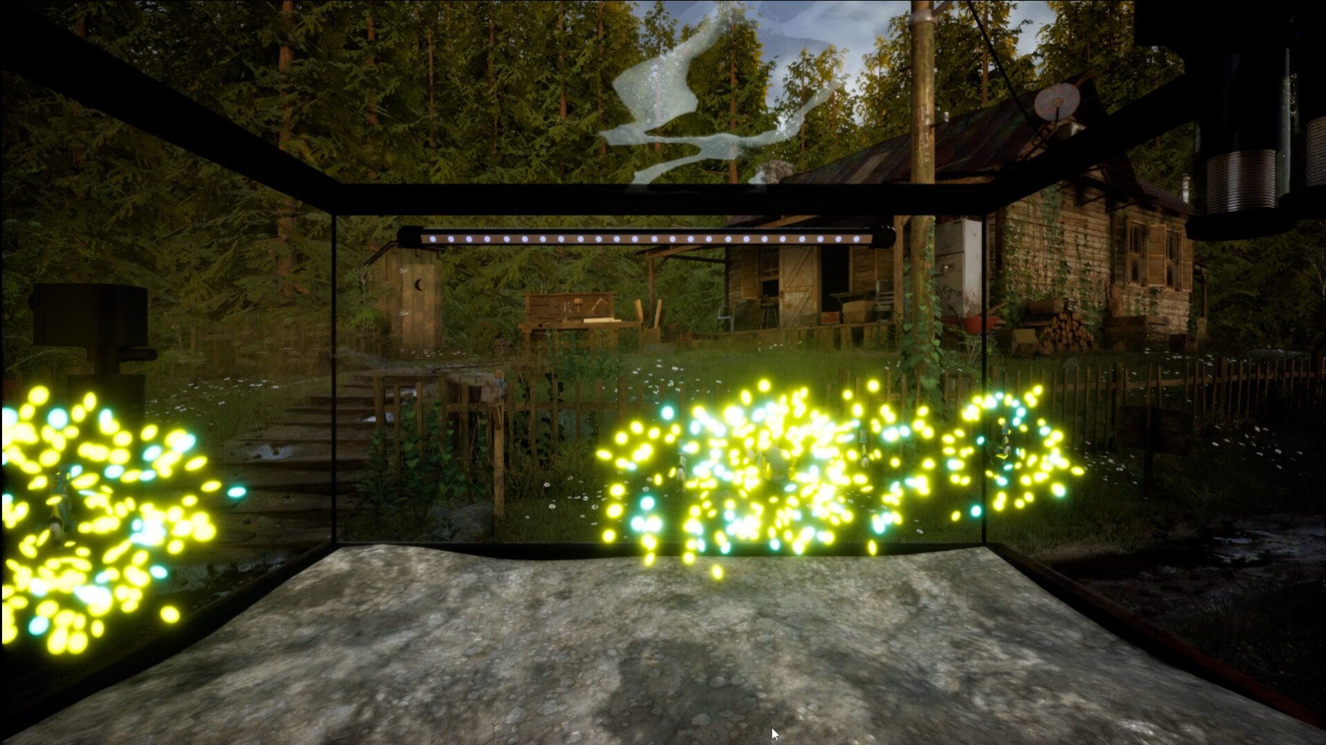 Fish Tank Simulator Screenshot 14