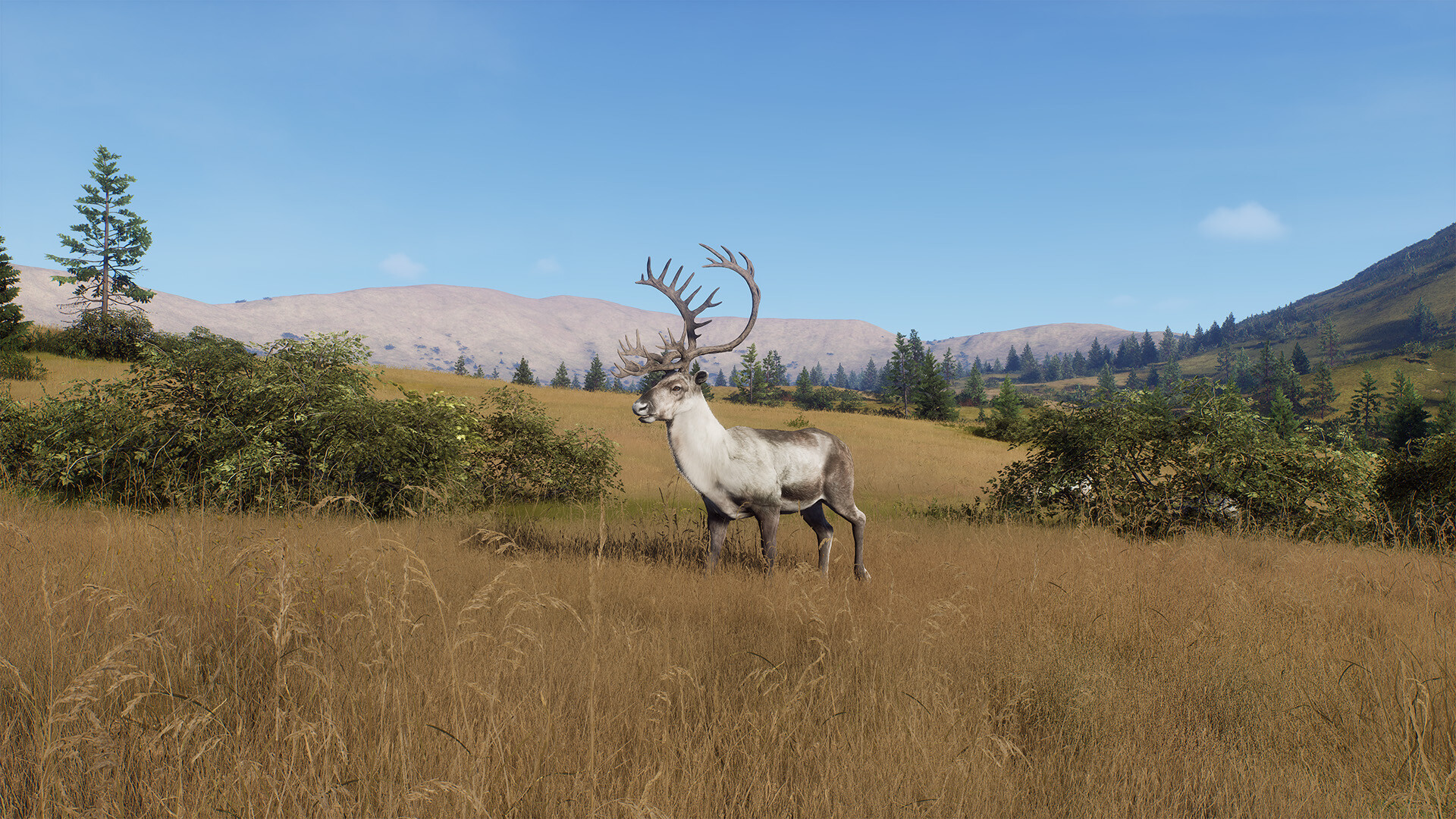 Way of the Hunter - Elkcrest Island Screenshot 6