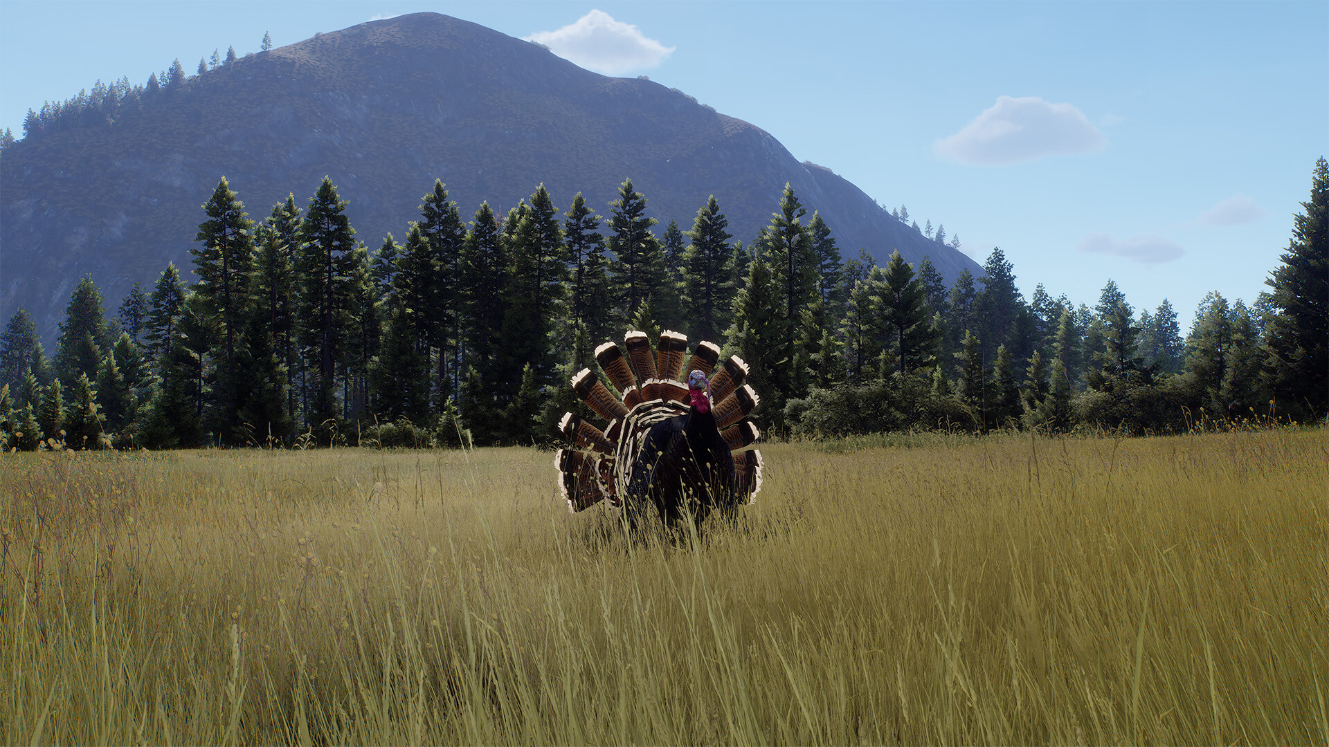 Way of the Hunter - Elkcrest Island Screenshot 7