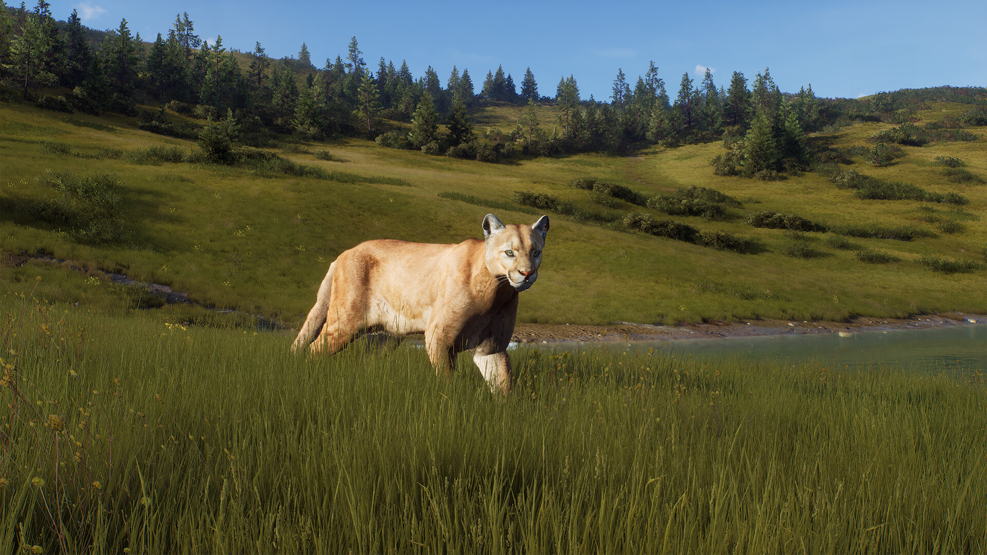 Way of the Hunter - Elkcrest Island Screenshot 9