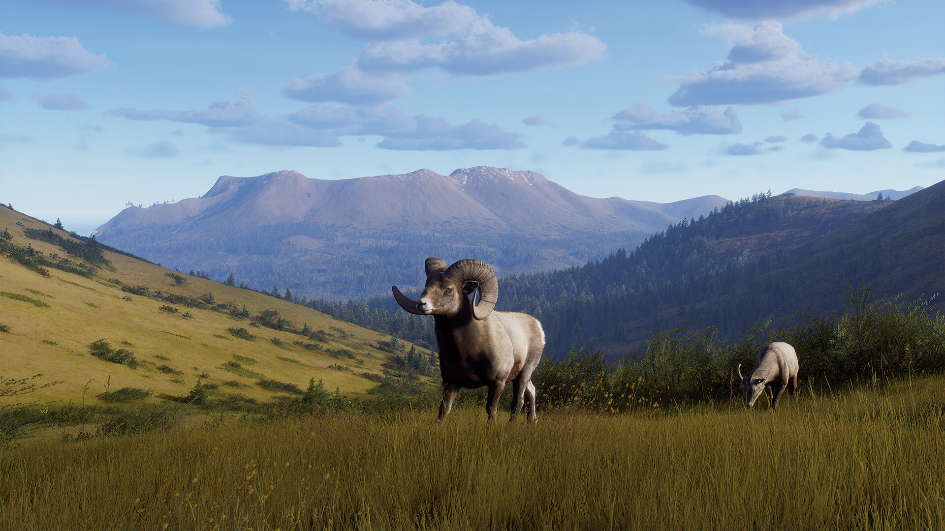 Way of the Hunter - Elkcrest Island Screenshot 4