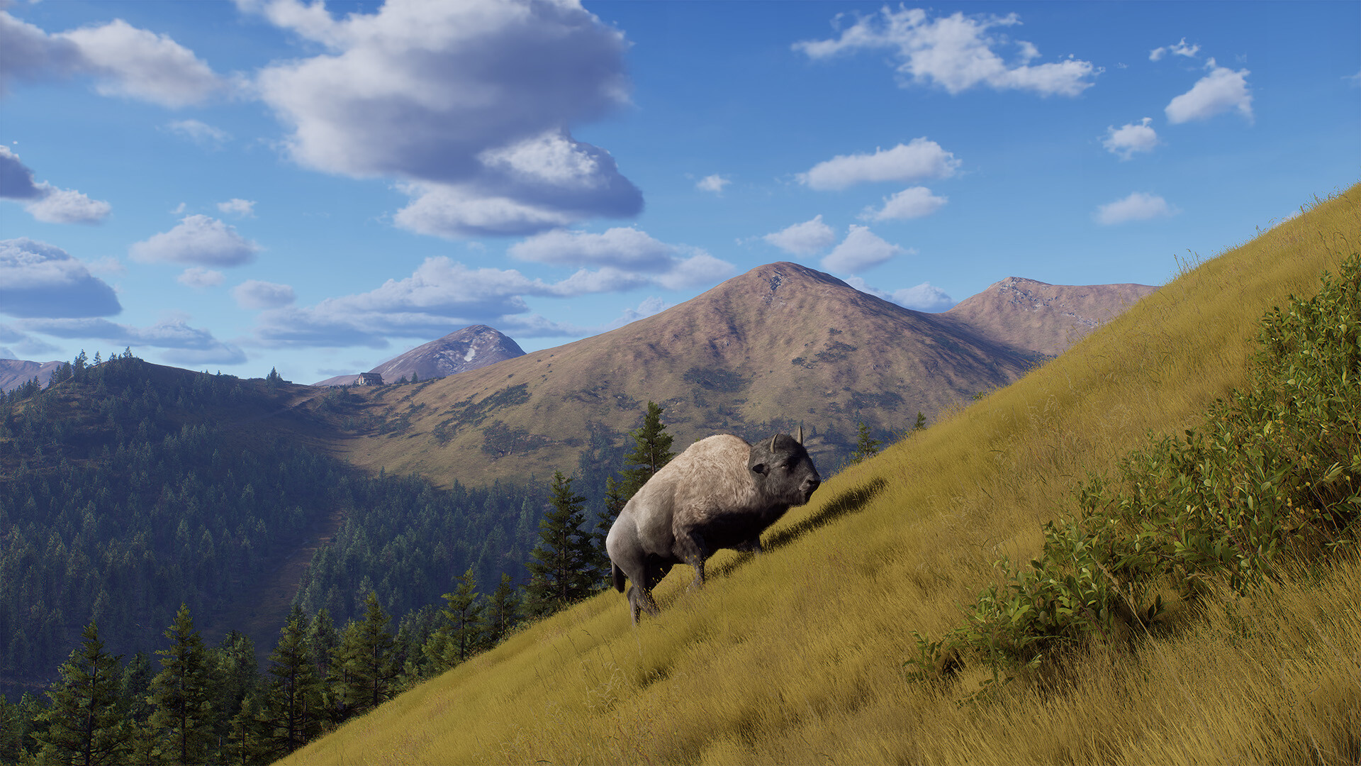 Way of the Hunter - Elkcrest Island Screenshot 10