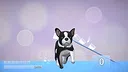 Doggy Waiter 2 Screenshot 4