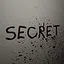 Chamber of Secrets icon