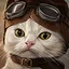 Aviator icon