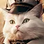 Captain icon