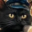 Driver icon