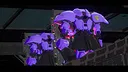 XOL: Space Mech Wars Screenshot 5