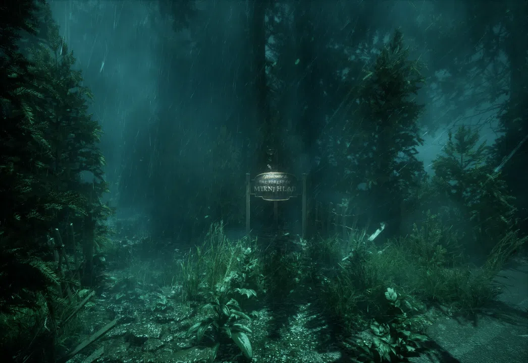 The Vanished Soul Screenshot 1