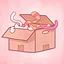 All Cat’s in a Box icon