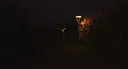 CornField Screenshot 4