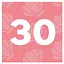 Solve 30 Puzzles icon