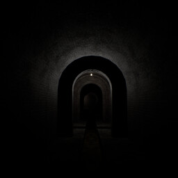 Sewage Swimming icon