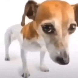 I.. I.. Follow... icon