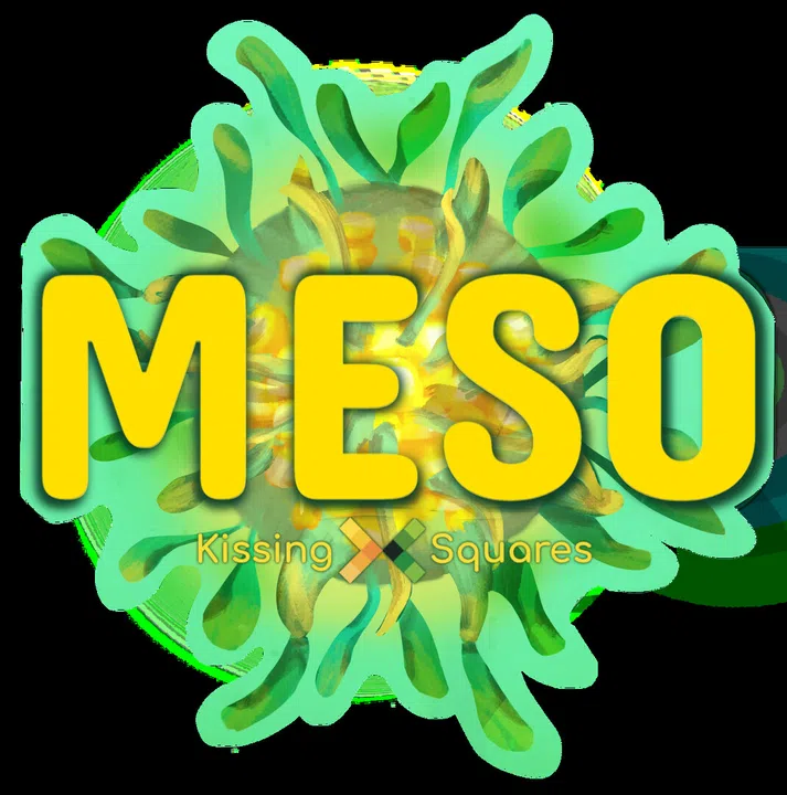 MESO Demo Screenshot 10
