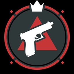 There are many guns but this one is mine icon