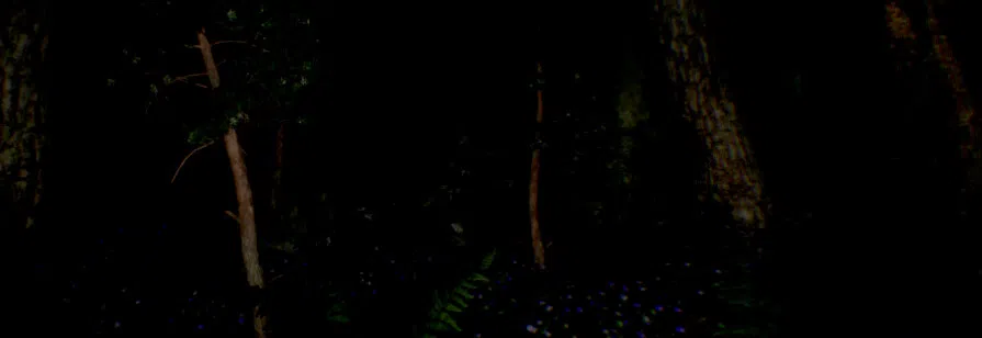 Flashlight Simulator Screenshot 1