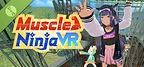 Muscle Ninja VR Demo