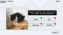 МЕМОЛОГИЯ: ЕГЭ ПО МЕМАМ Demo Screenshot 0