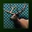 Hunter Archer icon