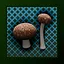 Mushrooms icon