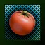Yum Tomatoes icon
