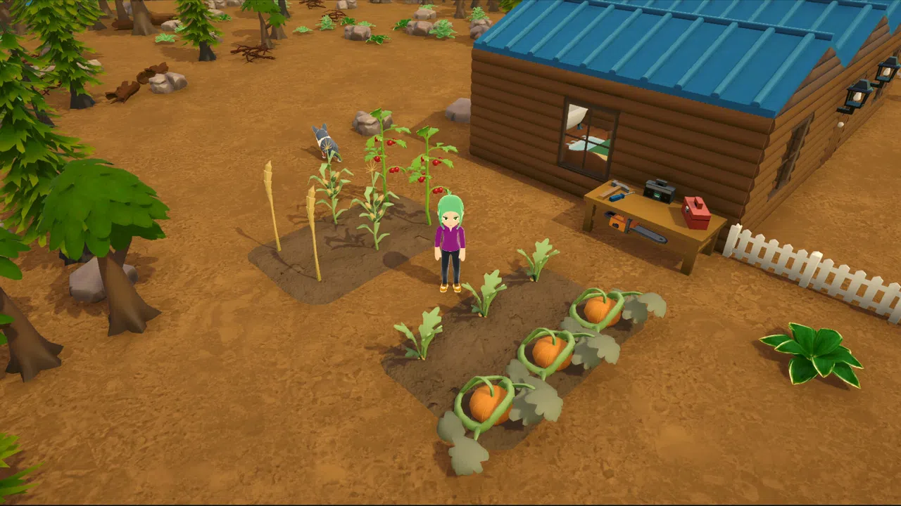 Alpine Lake Demo Screenshot 11