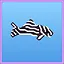 Zebra Pleco icon