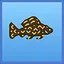 Spotted Sailfin icon