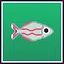 Banded Rainbowfish Collector icon