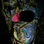 Single eye monsters icon