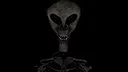 Edd Skeleton Game Screenshot 1