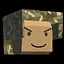 Victory icon