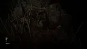 Forest 6174 Screenshot 2