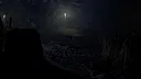 Forest 6174 Screenshot 0