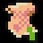 Practitioner icon